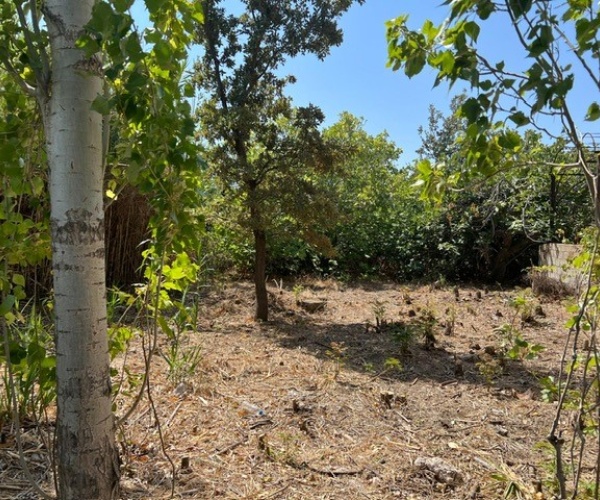 Skala Eressos, Lesvos Island 81105, ,Land Plot,For Sale,1134