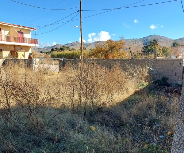 Skala Eressos, Lesvos Island 81105, 0 , 0 ,0,Land Plot,For Sale,0,1198