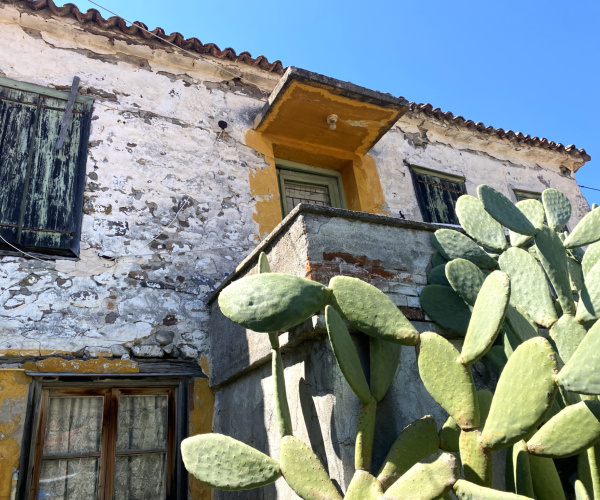 Eressos, Lesvos Island 81105, 2 Bedrooms Bedrooms, 0 ,0,House,For Sale,0,1247