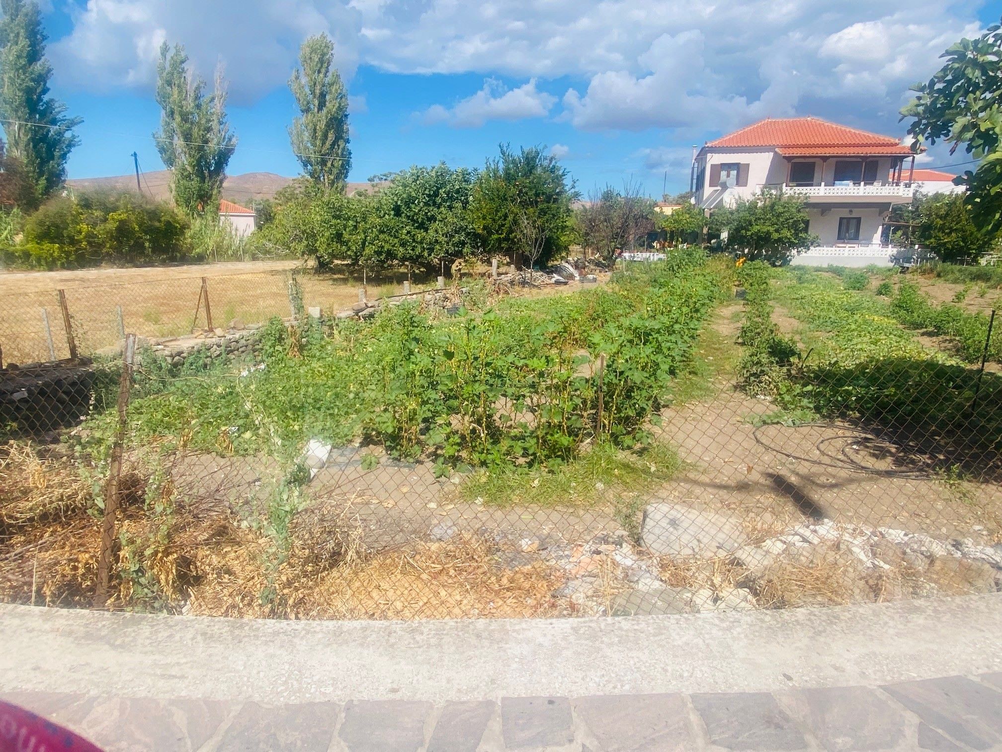 Skala Eressos, Lesvos Island 81105, ,Land Plot,For Sale,1254