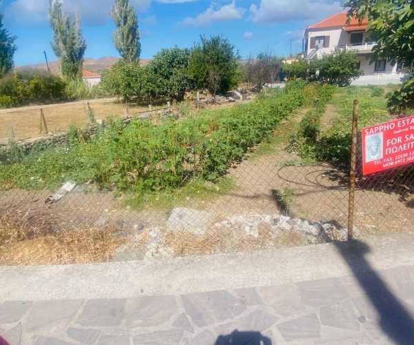 Skala Eressos, Lesvos Island 81105, ,Land Plot,For Sale,1254