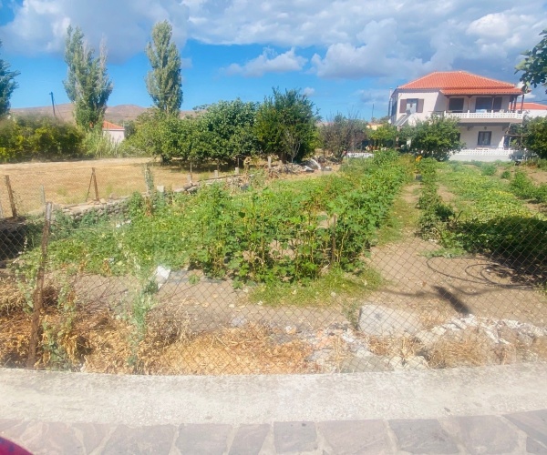 Skala Eressos, Lesvos Island 81105, ,Land Plot,For Sale,1254