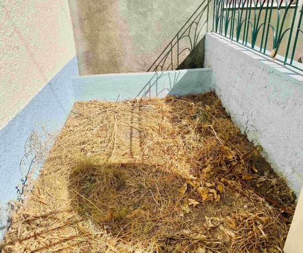 Eressos, Lesvos Island 81105, 3 Bedrooms Bedrooms, 0 ,1 BathroomBathrooms,House,For Sale,0,1257