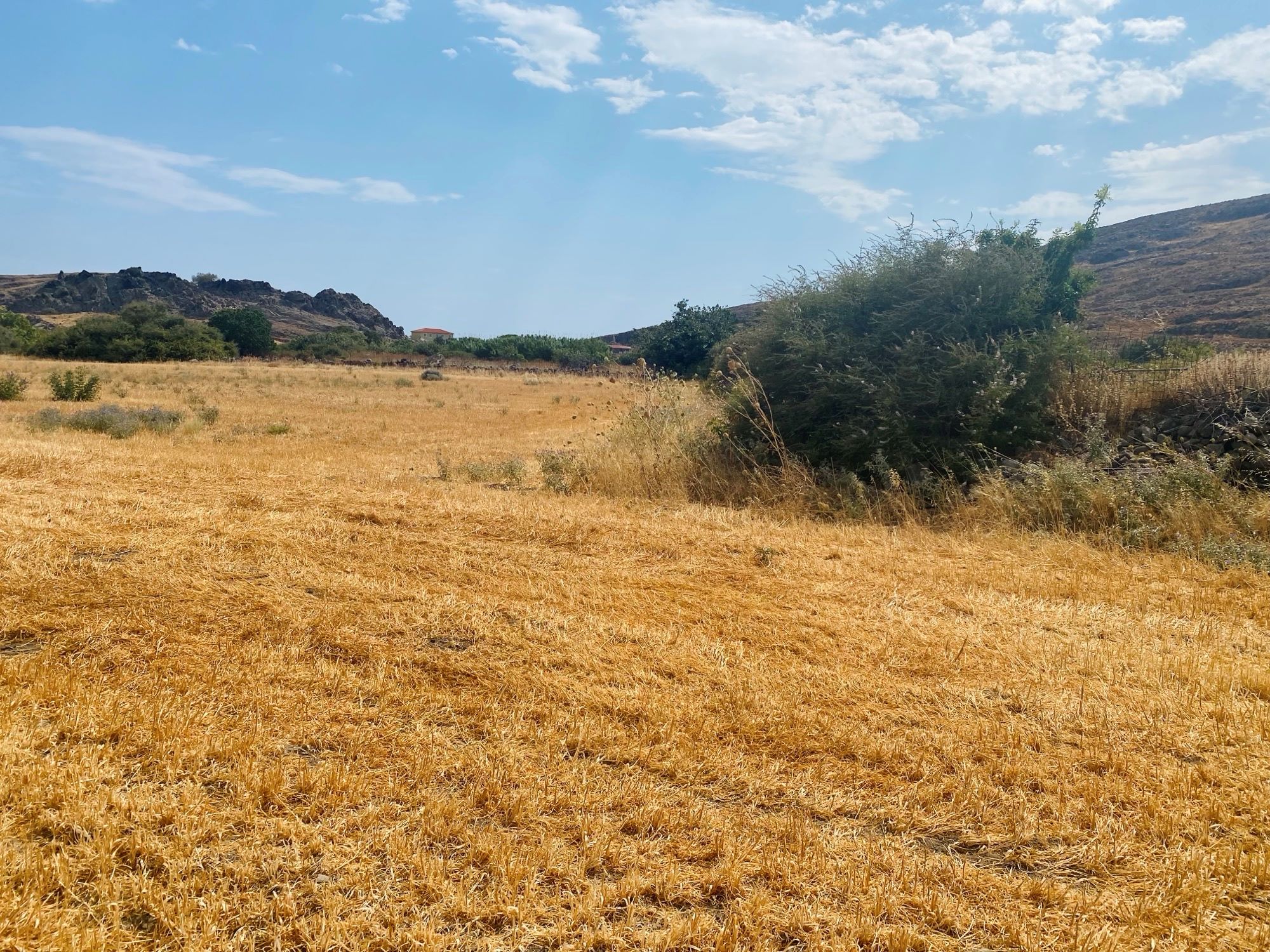 Skala Eressos, Lesvos Island 811 05, ,Land Plot,For Sale,1266