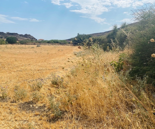 Skala Eressos, Lesvos Island 811 05, ,Land Plot,For Sale,1266