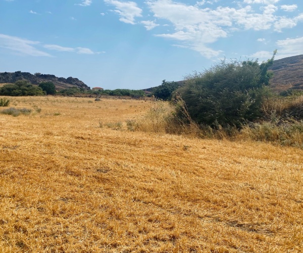 Skala Eressos, Lesvos Island 811 05, ,Land Plot,For Sale,1266