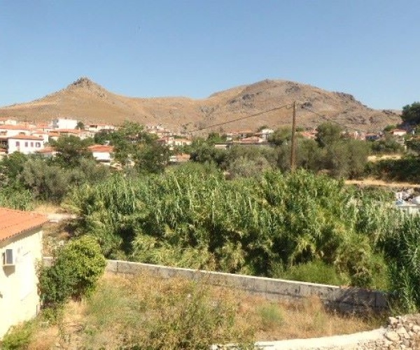 Eressos, Lesvos Island 811 05, 3 Bedrooms Bedrooms, ,2 BathroomsBathrooms,House,For Sale,1269