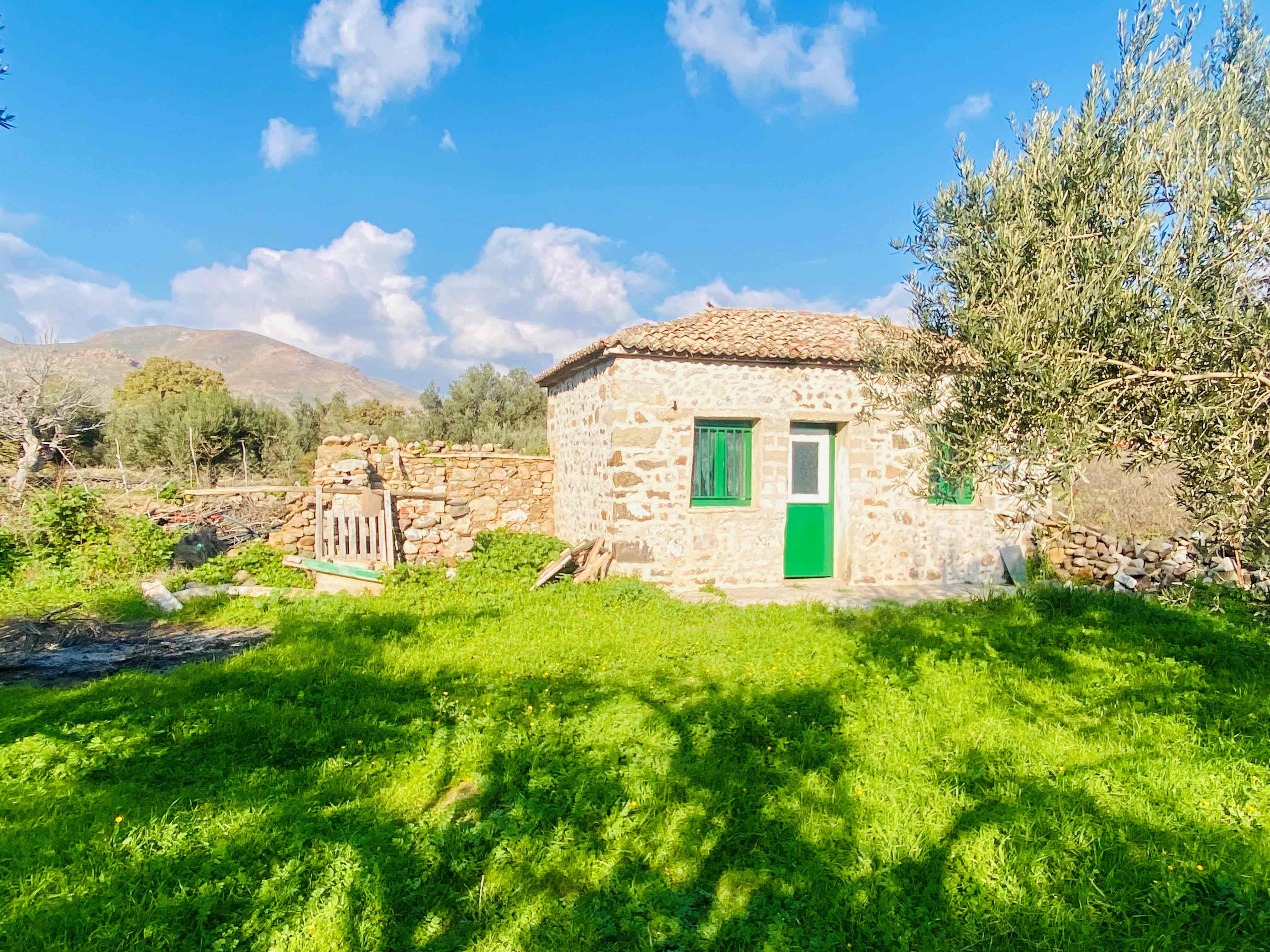 Eressos, Lesvos Island 81105, 0 , 0 ,0,House,For Sale,0,1274 Eressos, Lesvos Island 81105, 0 , 0 ,0,House,For Sale,0,1274