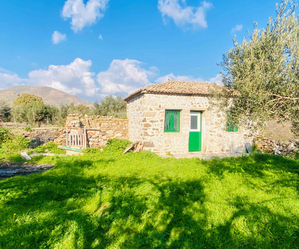 Eressos, Lesvos Island 81105, 0 , 0 ,0,House,For Sale,0,1274