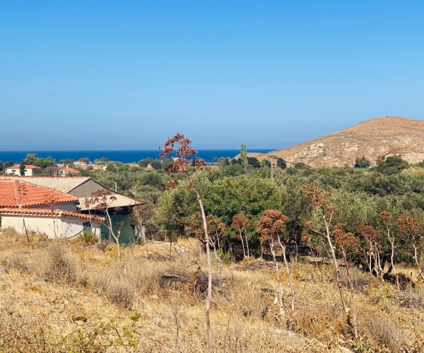 Sigri, Lesvos Island 81103, 2 Bedrooms Bedrooms, ,2 BathroomsBathrooms,House and Land,For Sale,1278