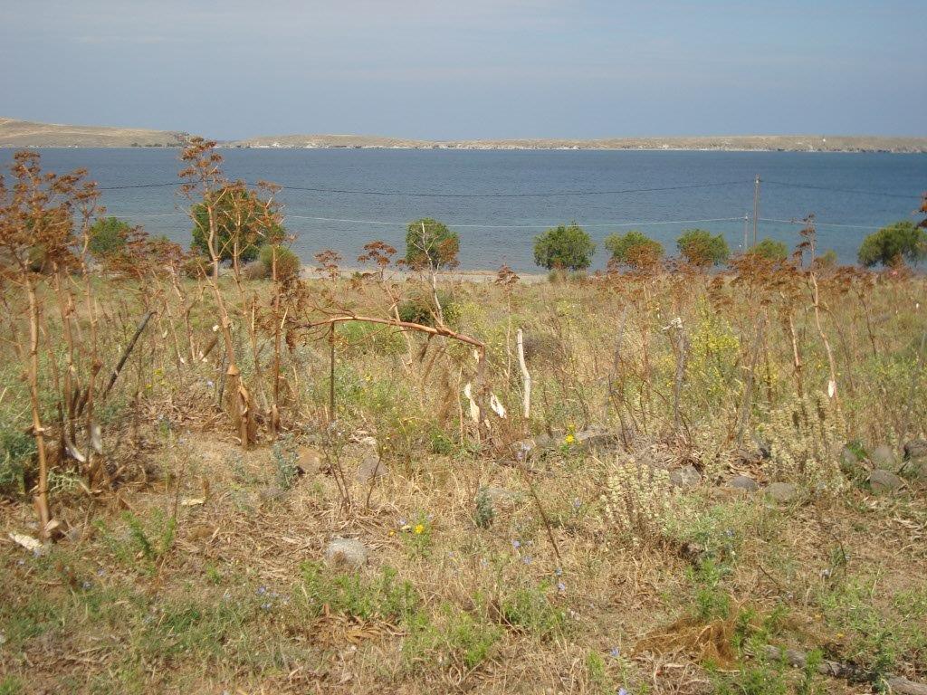 Sigri, Lesvos Island 81103, ,Land Plot,For Sale,1280