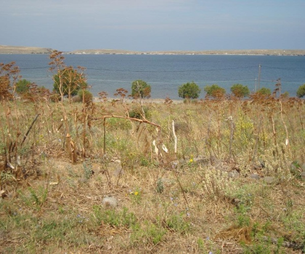 Sigri, Lesvos Island 81103, ,Land Plot,For Sale,1280