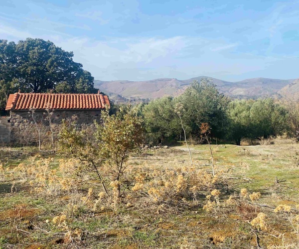 Eressos, Lesvos Island 81105, ,House and Land,For Sale,1282