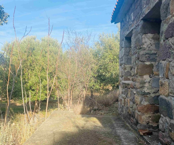 Eressos, Lesvos Island 81105, ,House and Land,For Sale,1282