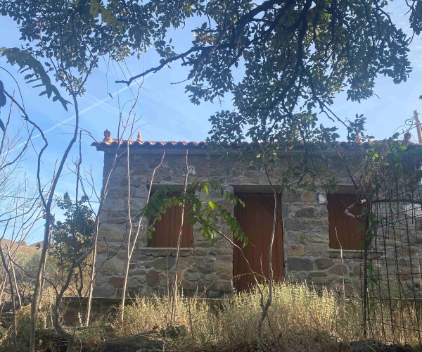 Eressos, Lesvos Island 81105, ,House and Land,For Sale,1282