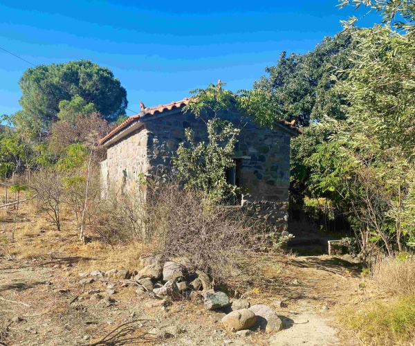 Eressos, Lesvos Island 81105, ,House and Land,For Sale,1282