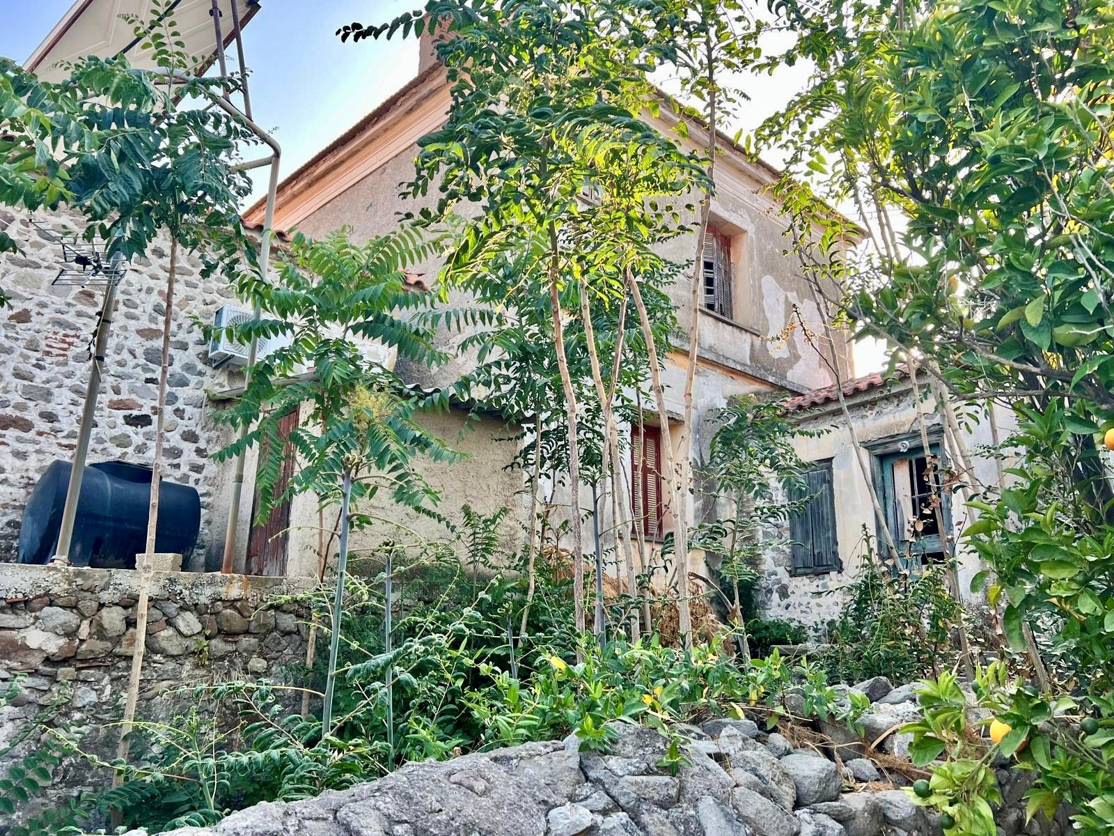 Eressos, Lesvos Island 81105, 3 Bedrooms Bedrooms, ,1 BathroomBathrooms,House,For Sale,1303 Eressos, Lesvos Island 81105, 3 Bedrooms Bedrooms, ,1 BathroomBathrooms,House,For Sale,1303