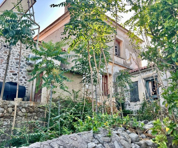 Eressos, Lesvos Island 81105, 3 Bedrooms Bedrooms, ,1 BathroomBathrooms,House,For Sale,1303