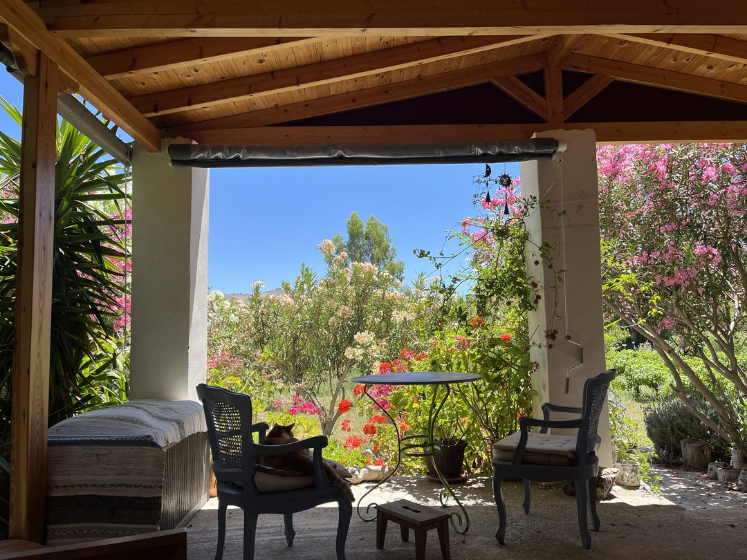 Skala Eressos, Lesvos Island 81105, 3 Bedrooms Bedrooms, 0 ,2 BathroomsBathrooms,House,For Sale,0,1306 Skala Eressos, Lesvos Island 81105, 3 Bedrooms Bedrooms, 0 ,2 BathroomsBathrooms,House,For Sale,0,1306