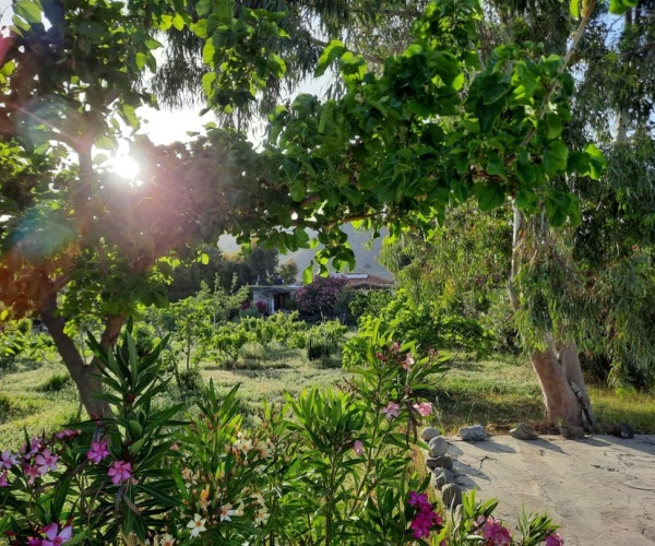 Skala Eressos, Lesvos Island 81105, 3 Bedrooms Bedrooms, 0 ,2 BathroomsBathrooms,House,For Sale,0,1306