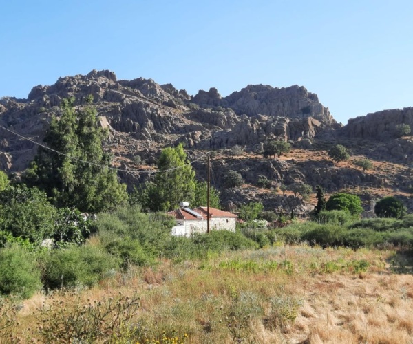 Skala Eressos, Lesvos Island 81105, 3 Bedrooms Bedrooms, 0 ,2 BathroomsBathrooms,House,For Sale,0,1306