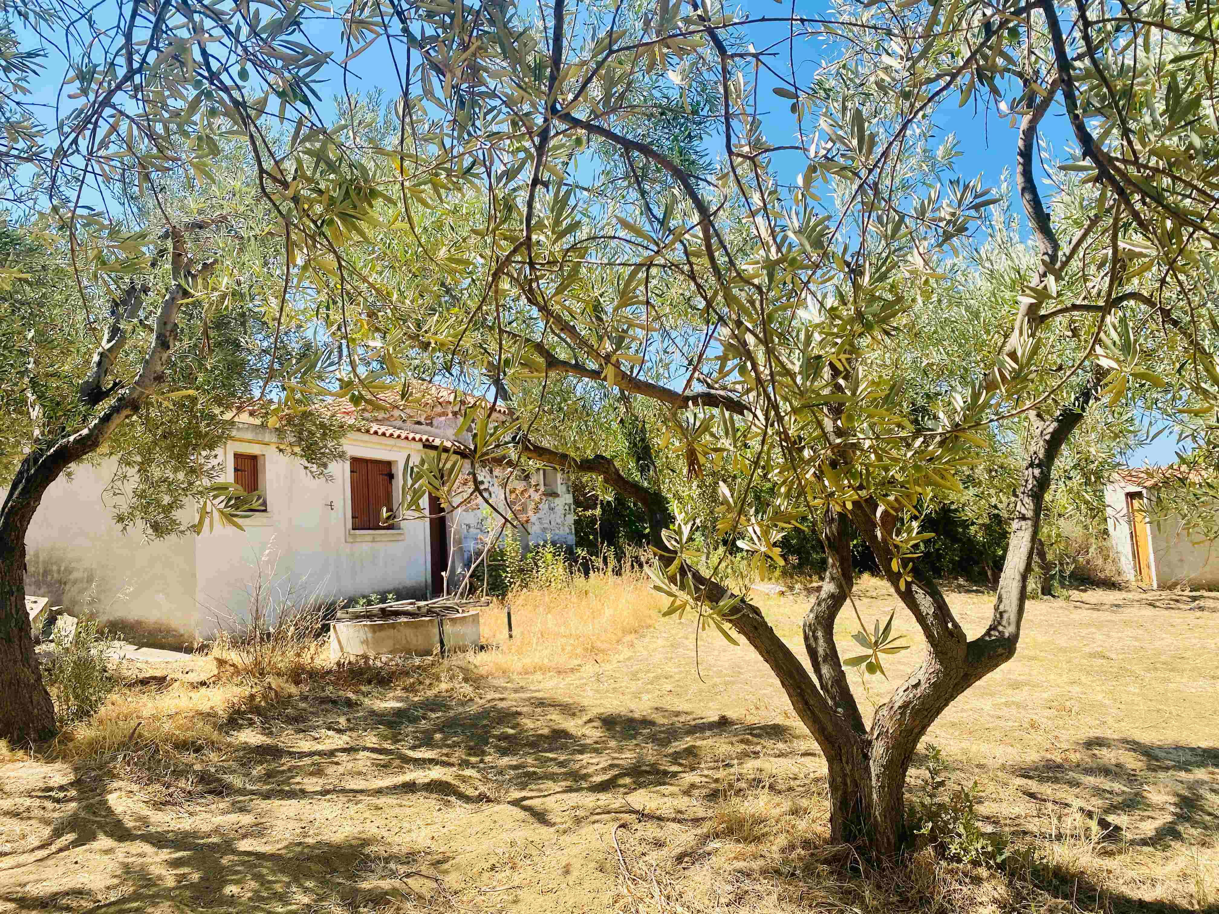 Kampos Eressos, Lesvos Island 81105, 1 Bedroom Bedrooms, 0 ,1 BathroomBathrooms,House,For Sale,0,1310 Kampos Eressos, Lesvos Island 81105, 1 Bedroom Bedrooms, 0 ,1 BathroomBathrooms,House,For Sale,0,1310