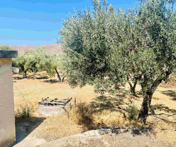 Kampos Eressos, Lesvos Island 81105, 1 Bedroom Bedrooms, 0 ,1 BathroomBathrooms,House,For Sale,0,1310