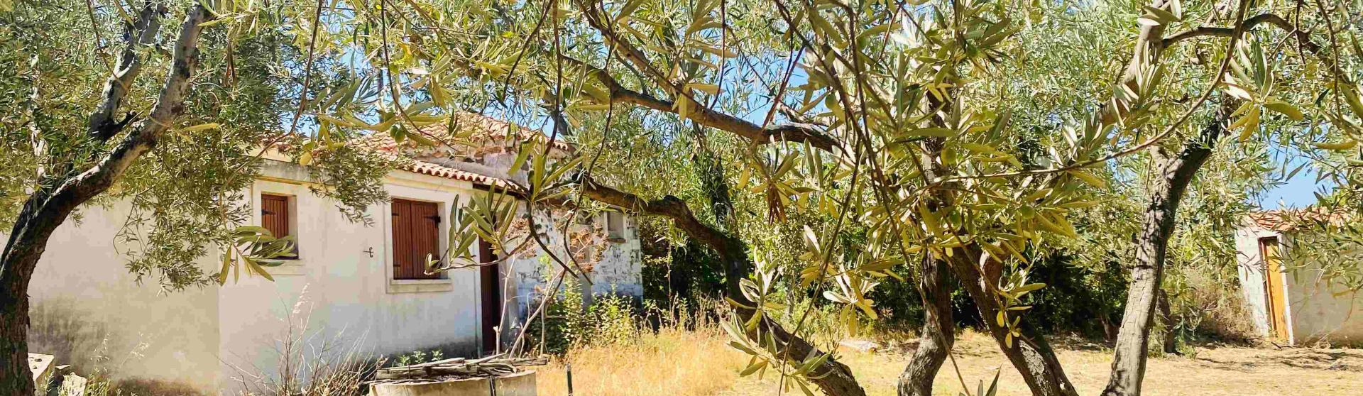 Kampos Eressos, Lesvos Island 81105, 1 Bedroom Bedrooms, 0 ,1 BathroomBathrooms,House,For Sale,0,1310