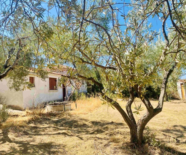 Kampos Eressos, Lesvos Island 81105, 1 Bedroom Bedrooms, 0 ,1 BathroomBathrooms,House,For Sale,0,1310