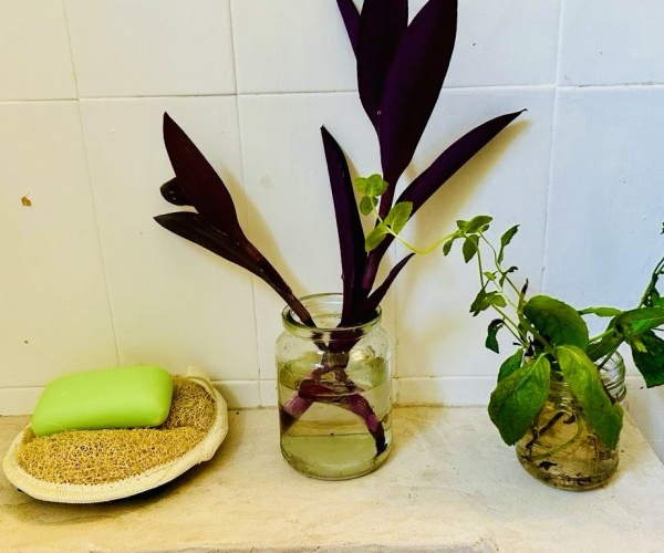 Skala Eressos, Lesvos Island 81105, 2 Bedrooms Bedrooms, 0 ,1 BathroomBathrooms,House,For Sale,0,1313