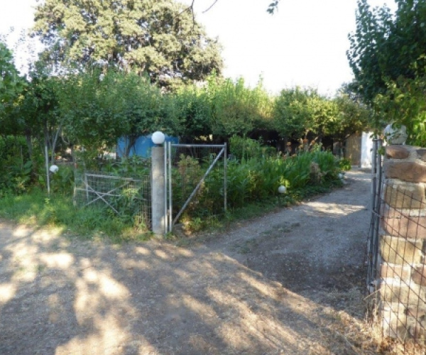 Skala Eressos, Lesvos Island 81105, 2 Bedrooms Bedrooms, 0 ,2 BathroomsBathrooms,Bungalow,For Sale,0,1032