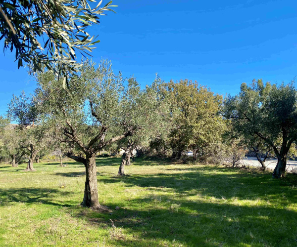 Eressos, Lesvos Island 81105, 0 , 0 ,0,House and Land,For Sale,0,1324