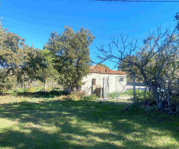 Eressos, Lesvos Island 81105, 0 , 0 ,0,House and Land,For Sale,0,1324