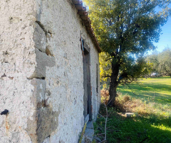 Eressos, Lesvos Island 81105, 0 , 0 ,0,House and Land,For Sale,0,1324