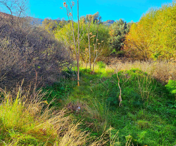 Eressos, Lesvos Island 81105, 0 , 0 ,0,House,For Sale,0,1325