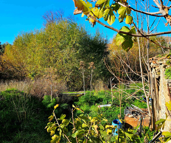 Eressos, Lesvos Island 81105, 0 , 0 ,0,House,For Sale,0,1325