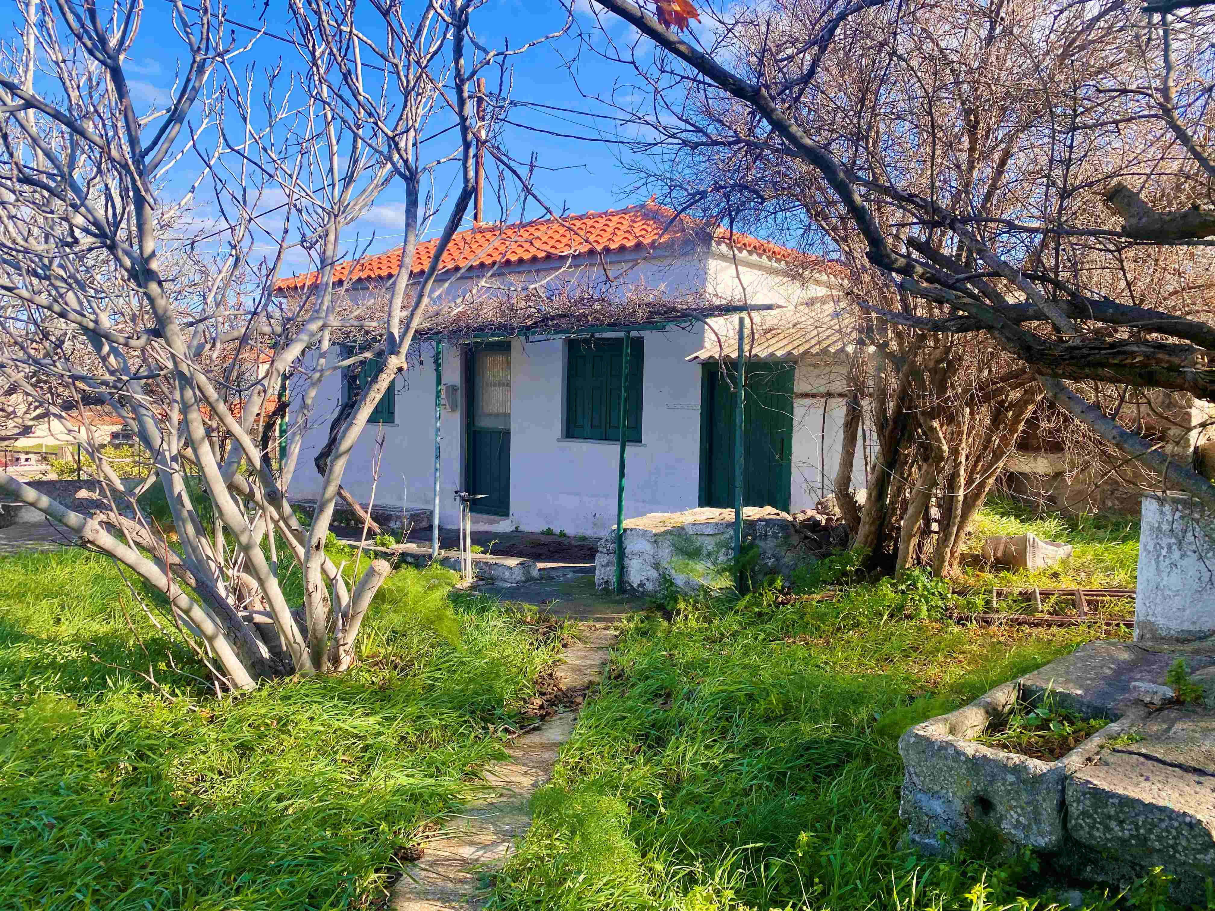 Skala Eressos, Lesvos Island 81105, 1 Bedroom Bedrooms, 0 ,1 BathroomBathrooms,House,For Sale,0,1328 Skala Eressos, Lesvos Island 81105, 1 Bedroom Bedrooms, 0 ,1 BathroomBathrooms,House,For Sale,0,1328