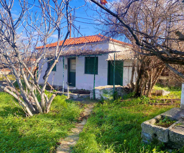 Skala Eressos, Lesvos Island 81105, 1 Bedroom Bedrooms, 0 ,1 BathroomBathrooms,House,For Sale,0,1328