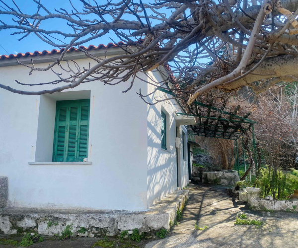 Skala Eressos, Lesvos Island 81105, 1 Bedroom Bedrooms, 0 ,1 BathroomBathrooms,House,For Sale,0,1328