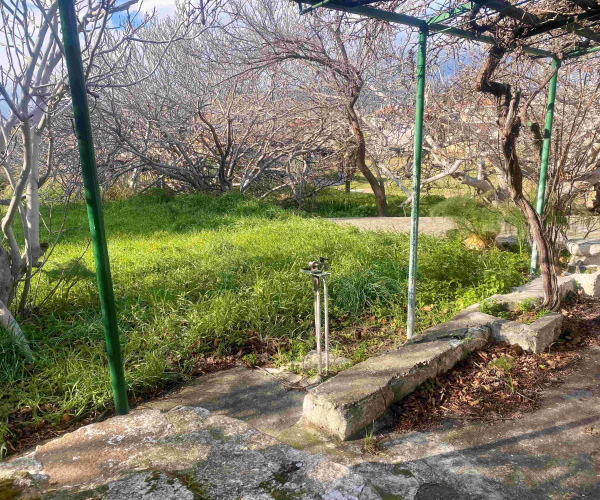 Skala Eressos, Lesvos Island 81105, 1 Bedroom Bedrooms, 0 ,1 BathroomBathrooms,House,For Sale,0,1328