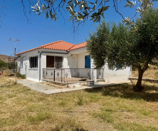 Tavari, Lesvos Island 81105, 2 Bedroom Bedrooms, 0 ,1 BathroomBathrooms,House,For Sale,0,1332