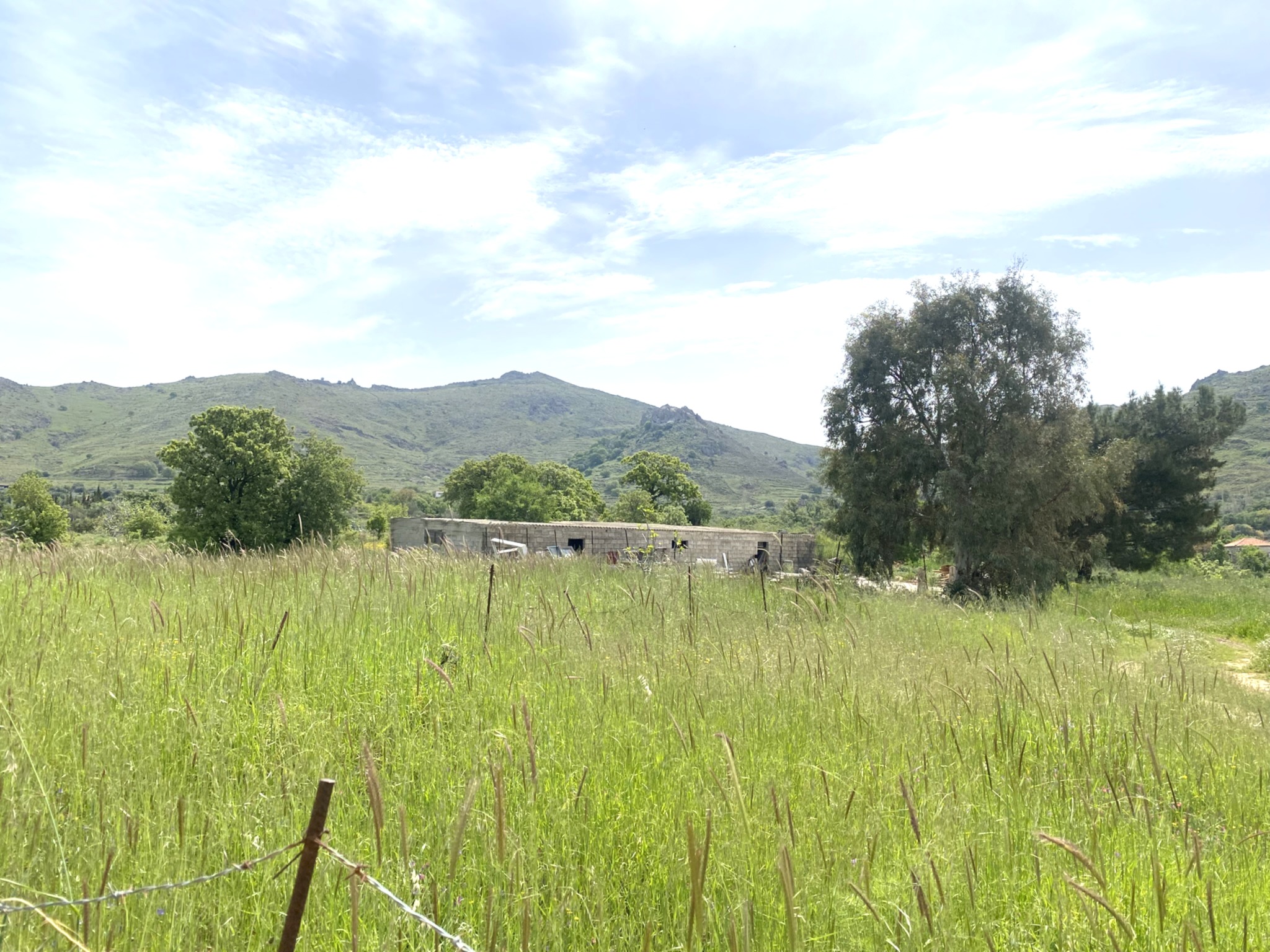 Kampos Eressos, Lesvos Island 81105, 0 , 0 ,0,House,For Sale,0,1334