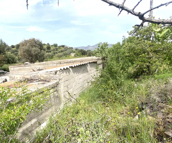 Kampos Eressos, Lesvos Island 81105, 0 , 0 ,0,House,For Sale,0,1334