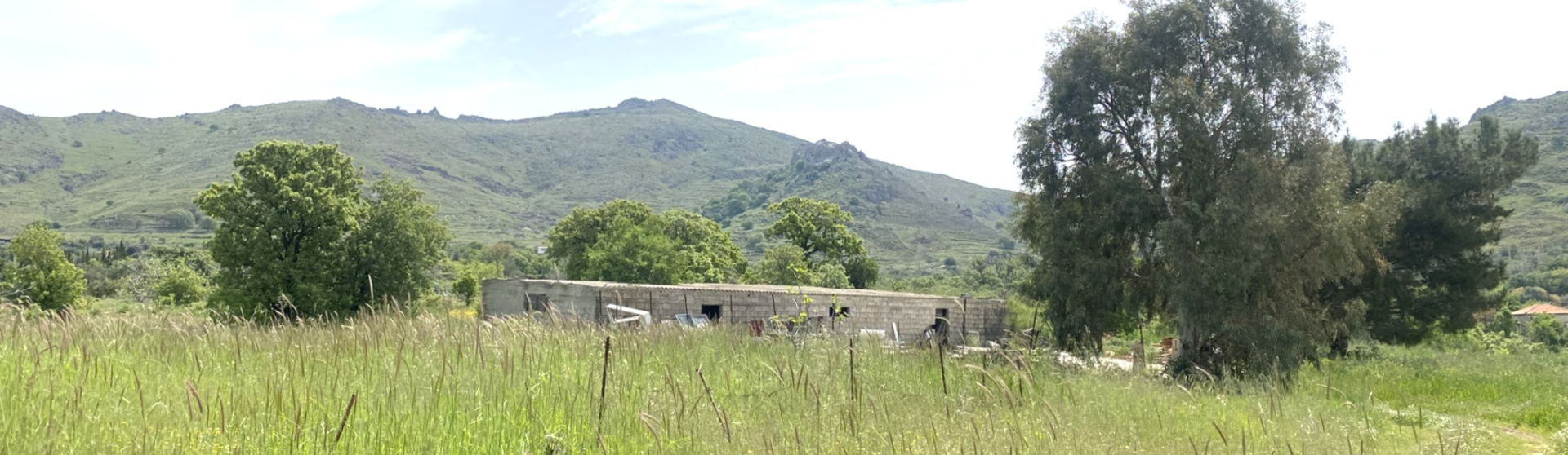 Kampos Eressos, Lesvos Island 81105, 0 , 0 ,0,House,For Sale,0,1334