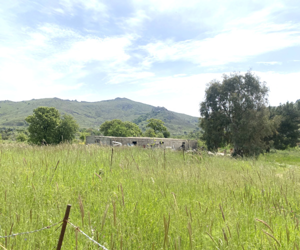Kampos Eressos, Lesvos Island 81105, 0 , 0 ,0,House,For Sale,0,1334