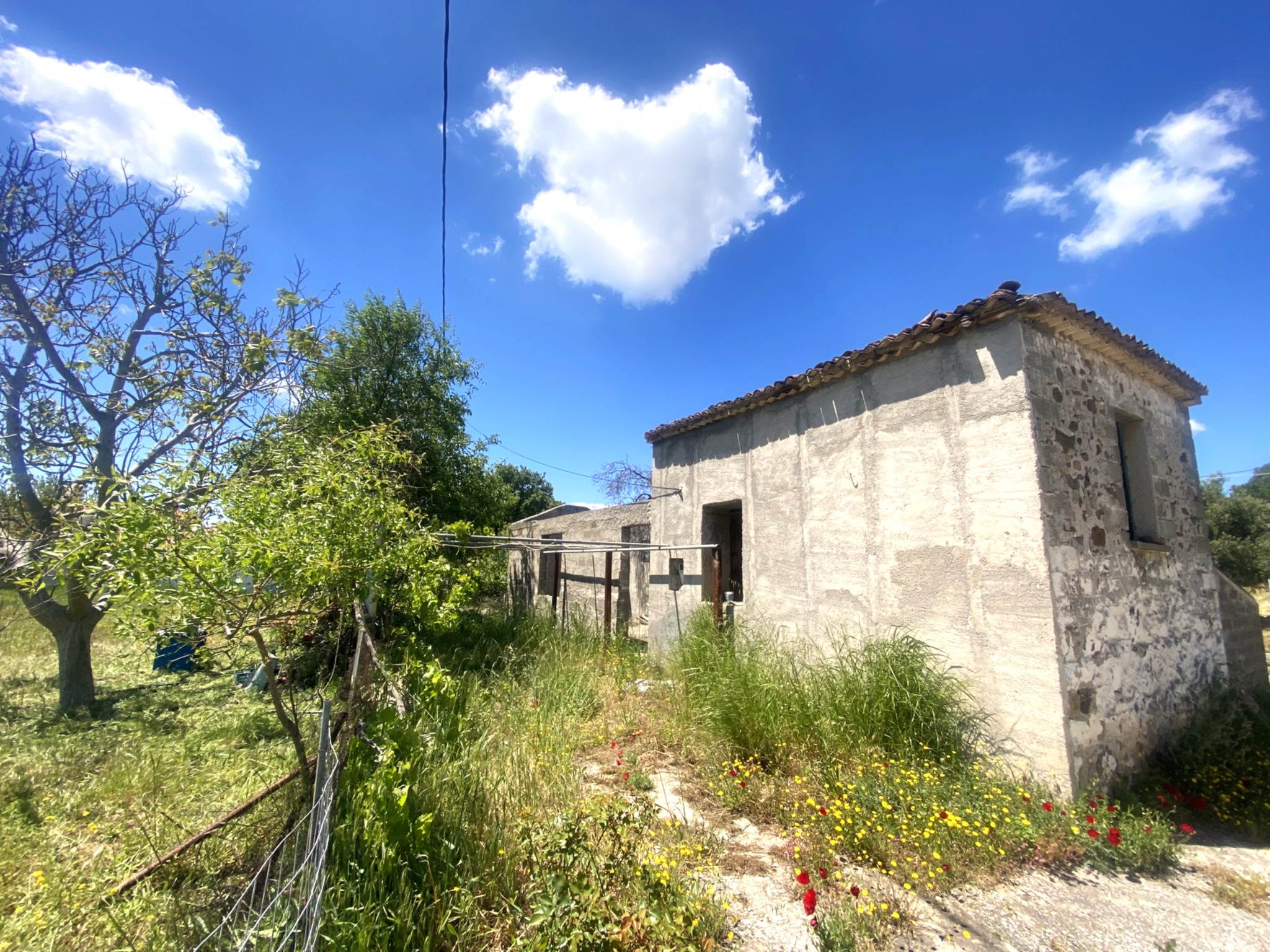 Eressos, Lesvos Island 81105, 0 , 0 ,0,House,For Sale,0,1339