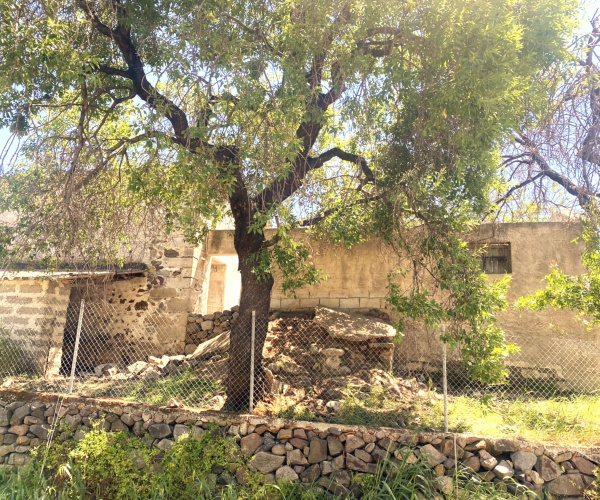 Eressos, Lesvos Island 81105, 0 , 0 ,0,House,For Sale,0,1339
