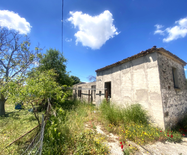Eressos, Lesvos Island 81105, 0 , 0 ,0,House,For Sale,0,1339