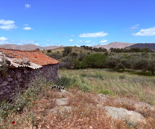 Kampos Eressos, Lesvos Island 81105, 0 , 0 ,0,House and Land,For Sale,0,1340