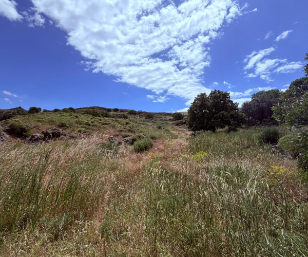 Kampos Eressos, Lesvos Island 81105, 0 , 0 ,0,House and Land,For Sale,0,1340